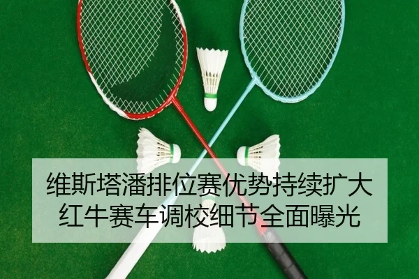 维斯塔潘排位赛优势持续扩大 红牛赛车调校细节全面曝光 | HAOBOSPORTS